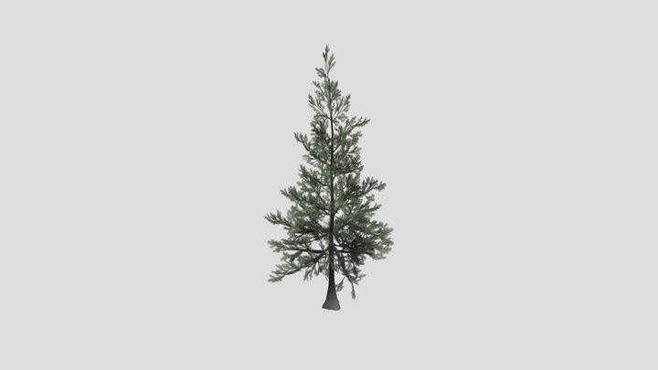 Tree Sabalpinefir D1 – Gratis 3D-model STL