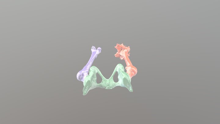 Segmentation_1 3D Model