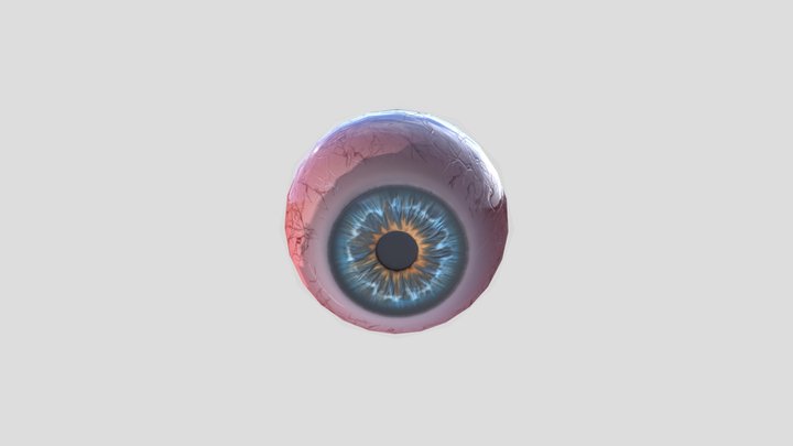 Realistic Eyeball Generator 3D Model
