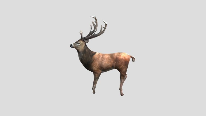 Mm Project 3D Model