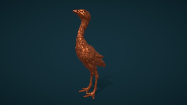 Rooster chick 3D Model