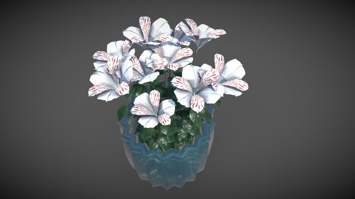 Alstroemeria