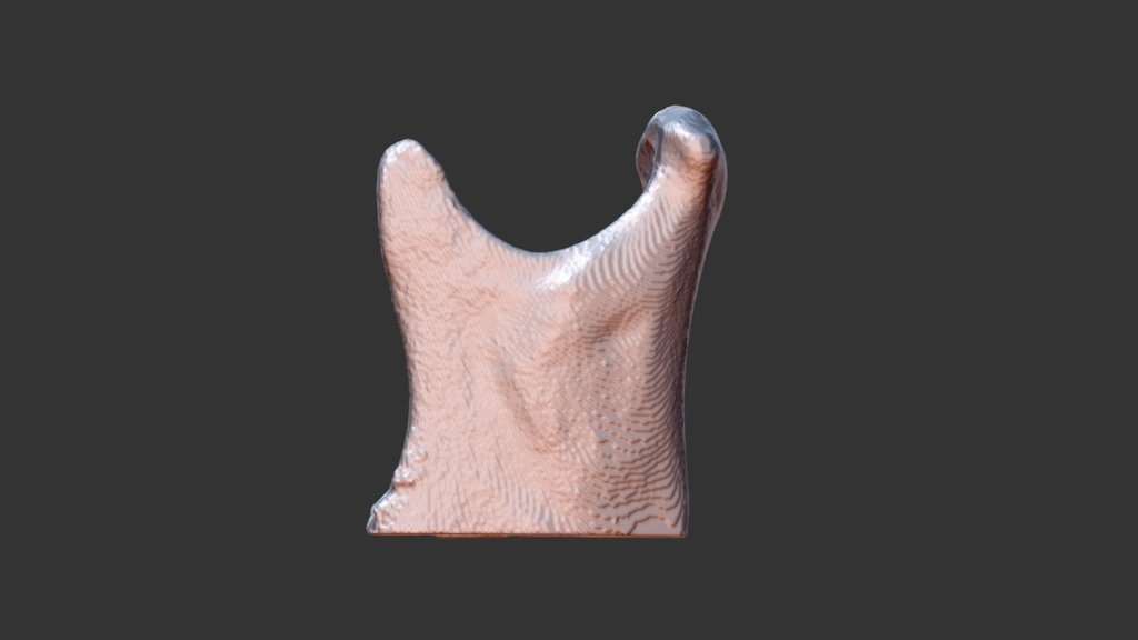Condilo mandibular - 3D model by Juan Schilling (@jschilling) [652281f ...