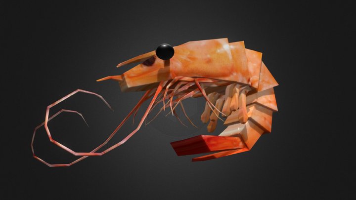 Shrimp [Low Poly] 3D Model