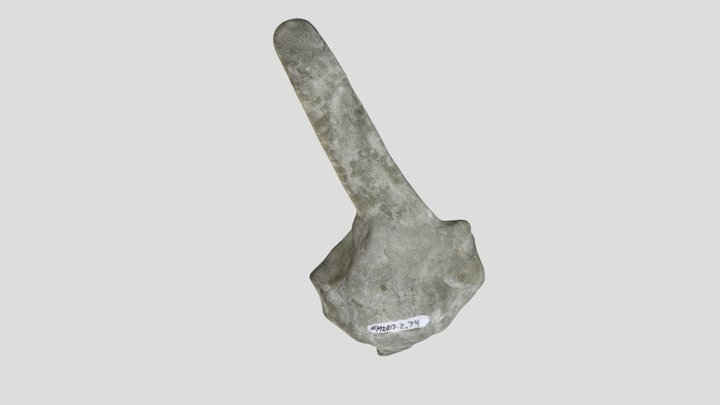 FM2012_2_74 3D Model