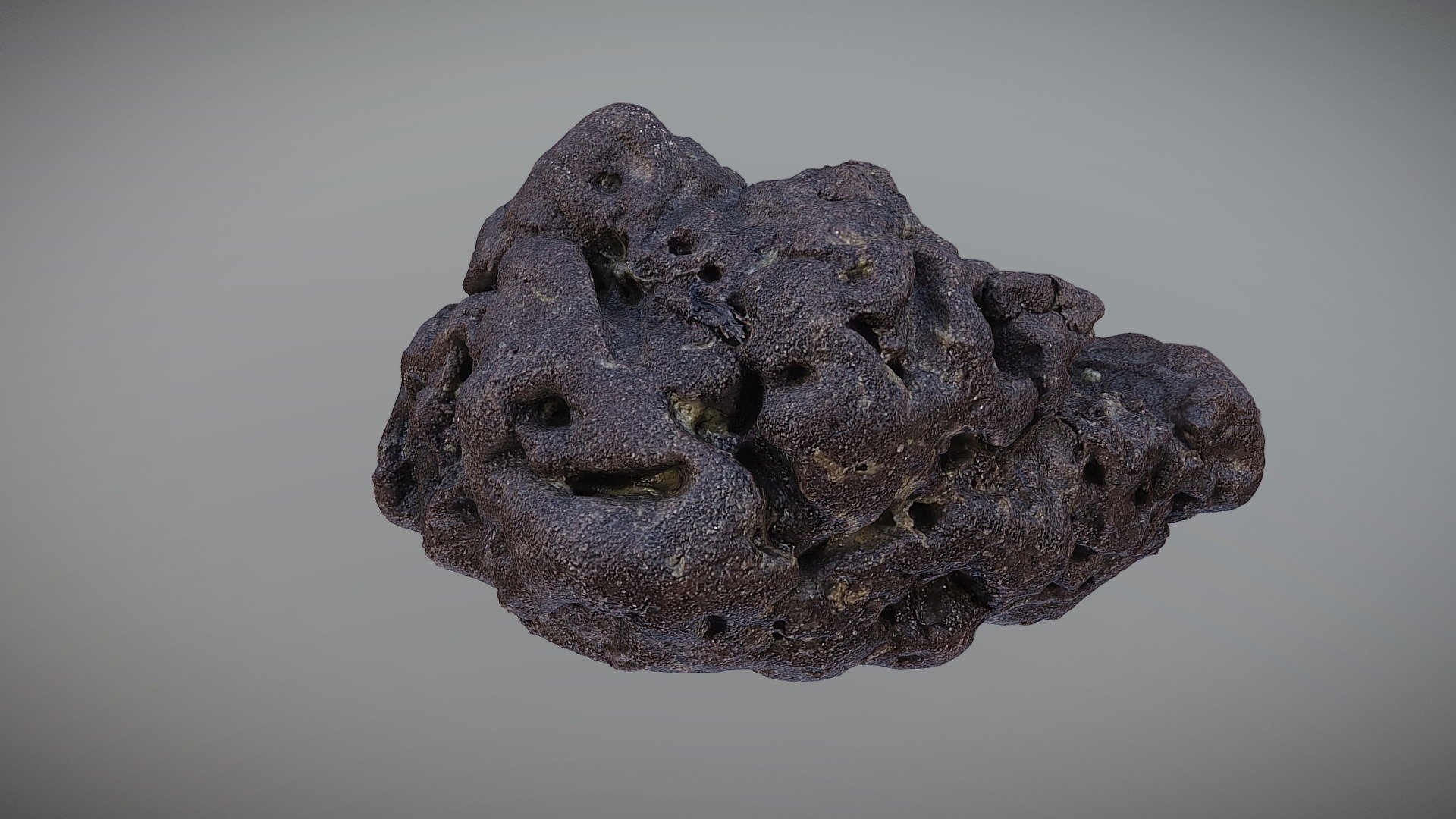 Limonite concretion from the IJsselmeer seabed - Download Free 3D model ...