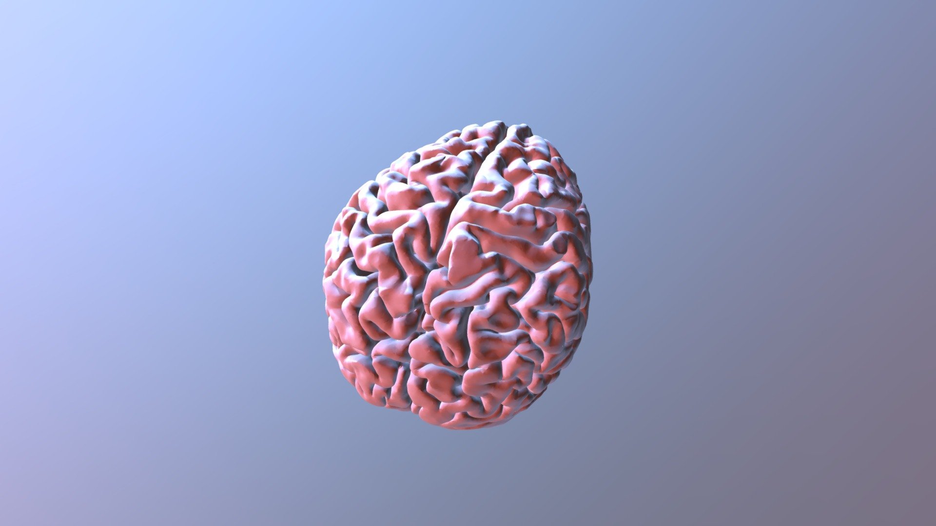 Mózg / Brain / Gehirn