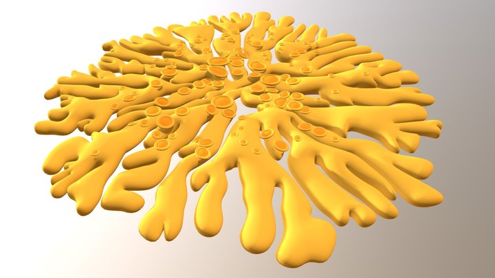 Xanthoria (Rusavskia) elegans 3D Model
