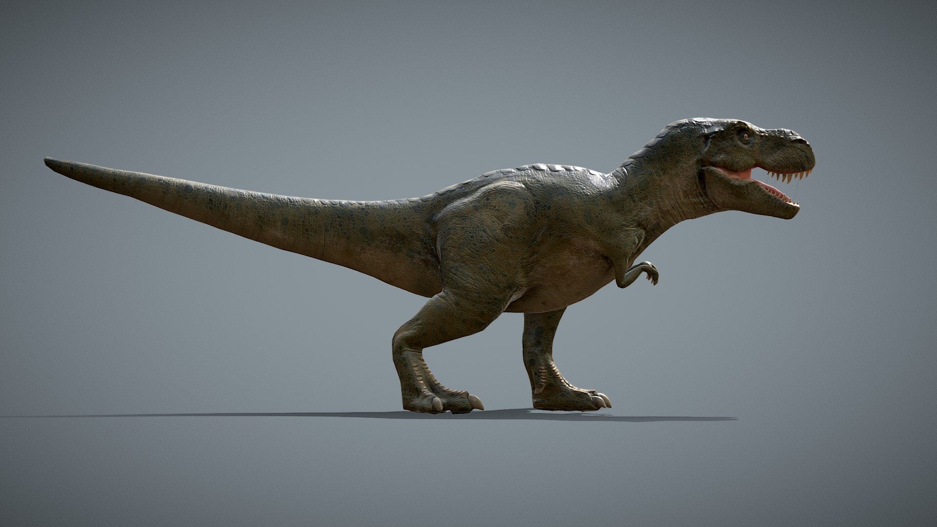 3D model Tyrannosaurus Rex Sue Real Dinosaur Series VR / AR / low-poly