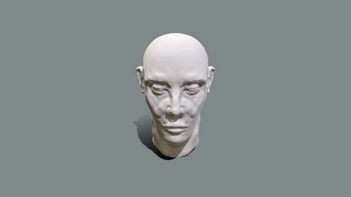 Head Practice. 3D Model