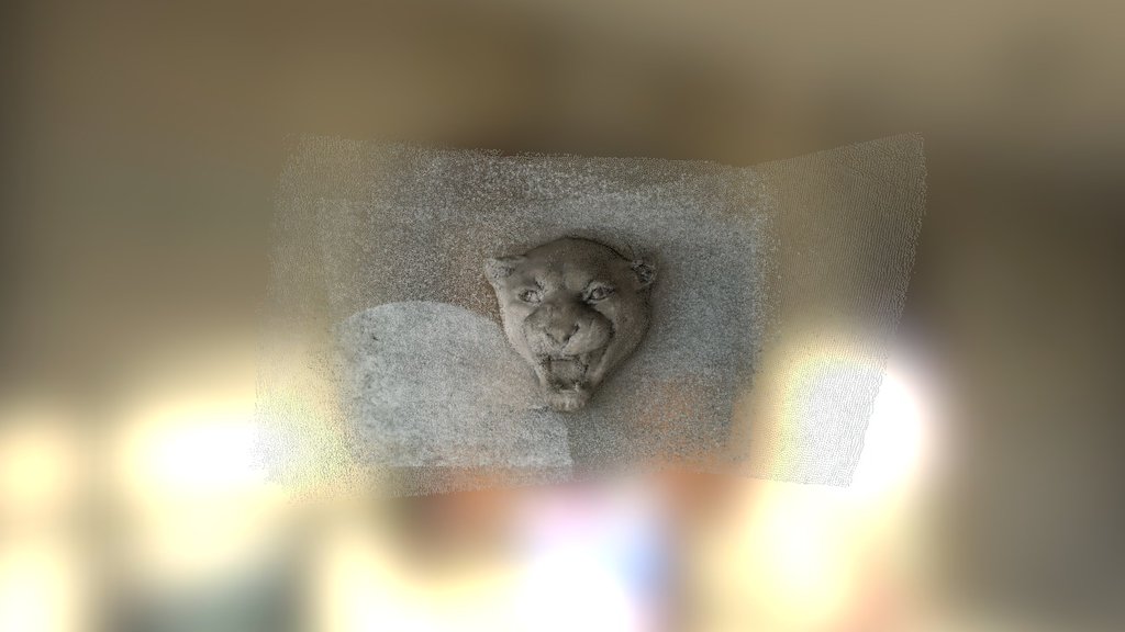 Puma Head