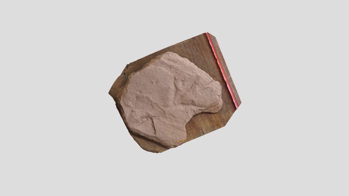 Modelo colección RICARDO – Modello 3D gratuito STL