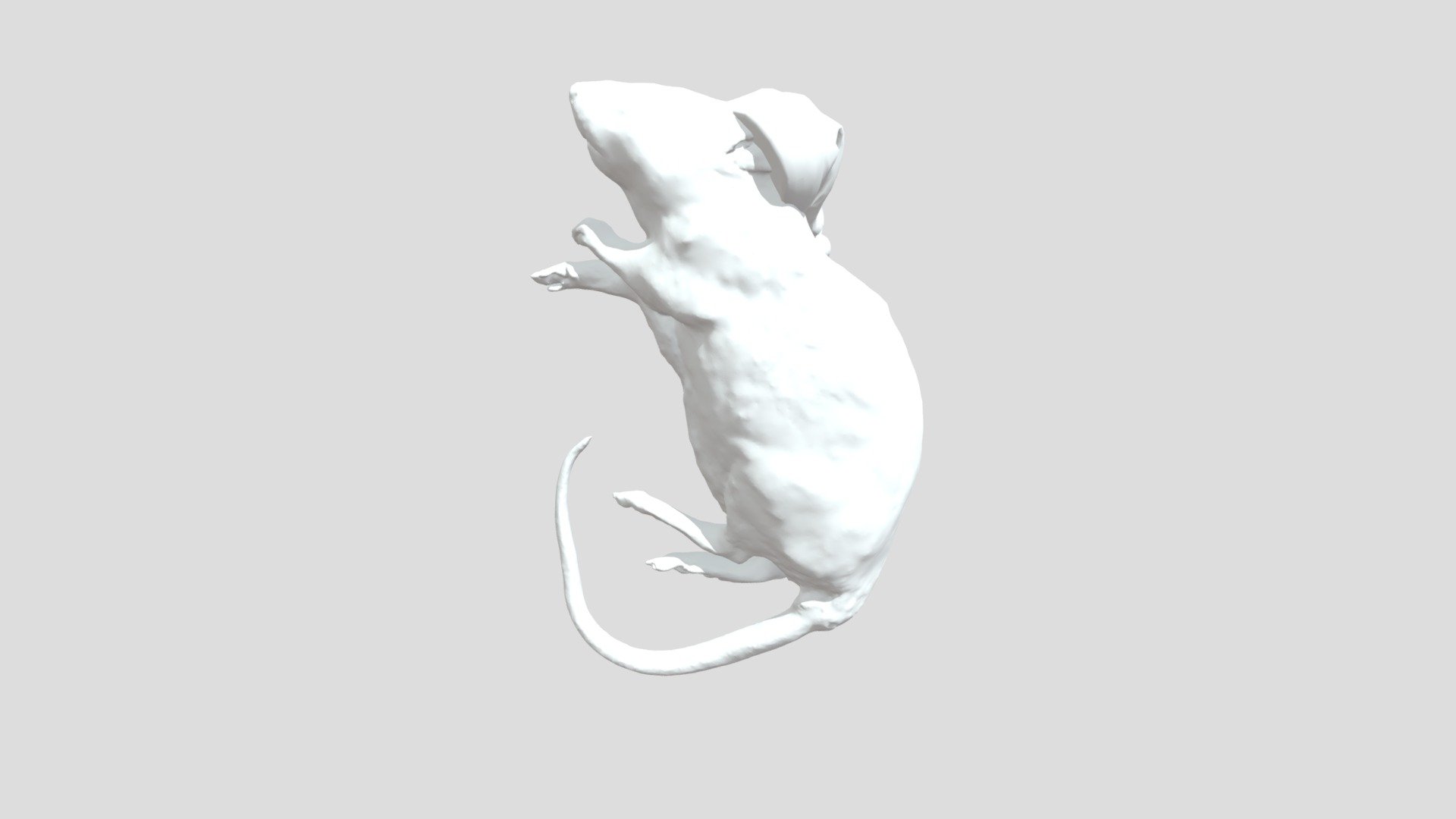 Mouse With Christmas Hat