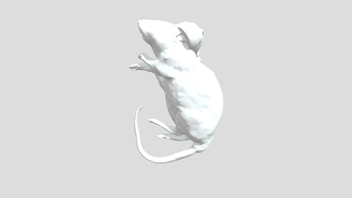 Mouse With Christmas Hat 3D Model