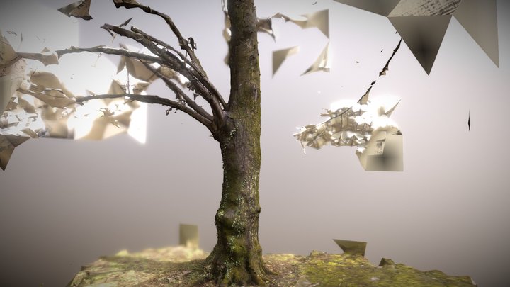 Tree Phoptoscan – Kostenloses 3D-Modell STL