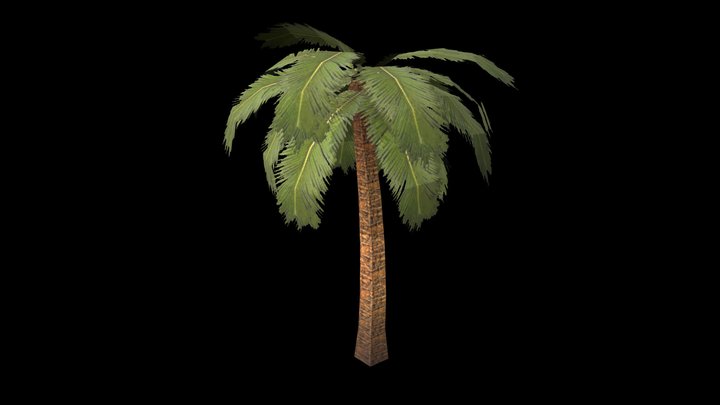 Low Poly Palm Tree 3D Model