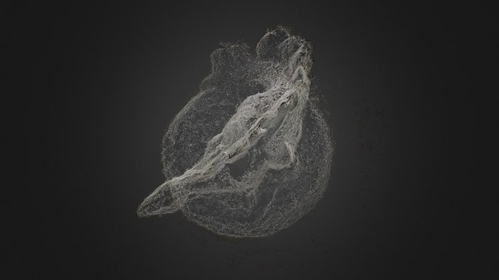 Dino 3D Model