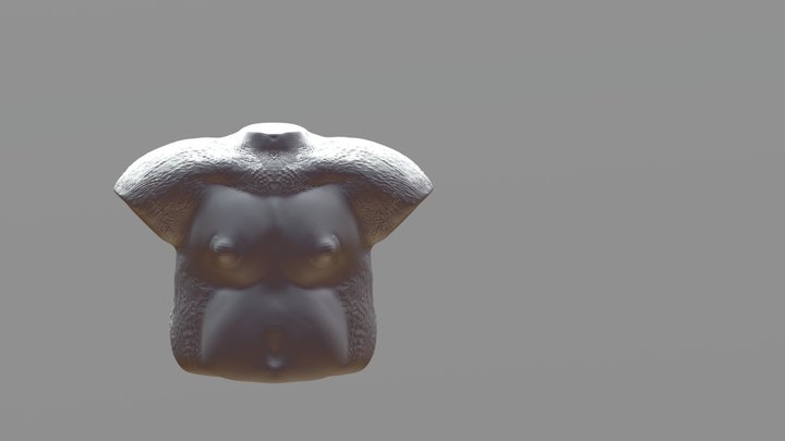 day3_Sculptjan19_body_chest 3D Model