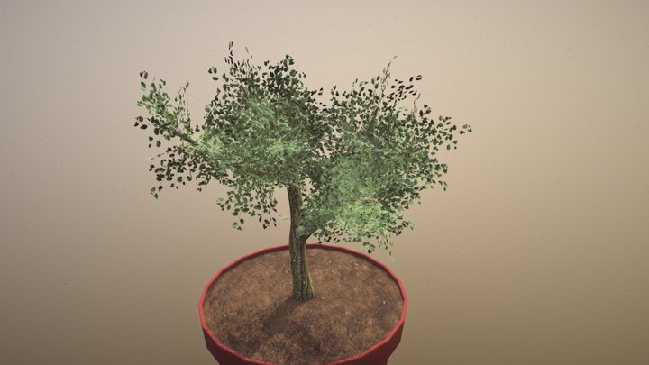 wk9_plant_anand_shlok 3D Model