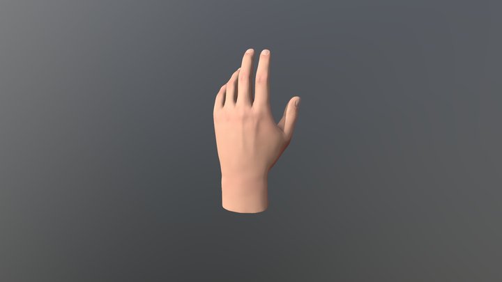 Hand 3D Model