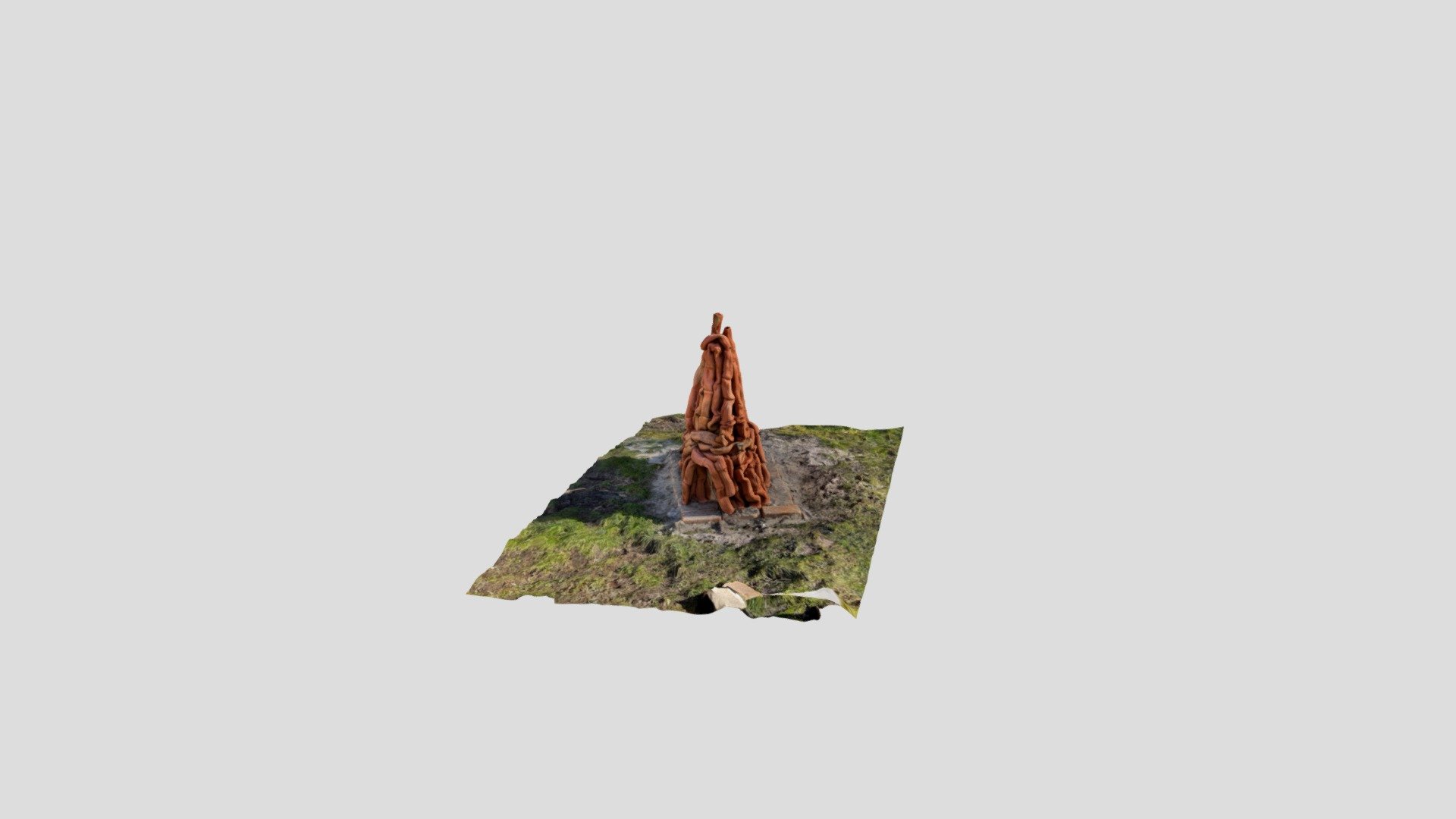 Polycam capture
