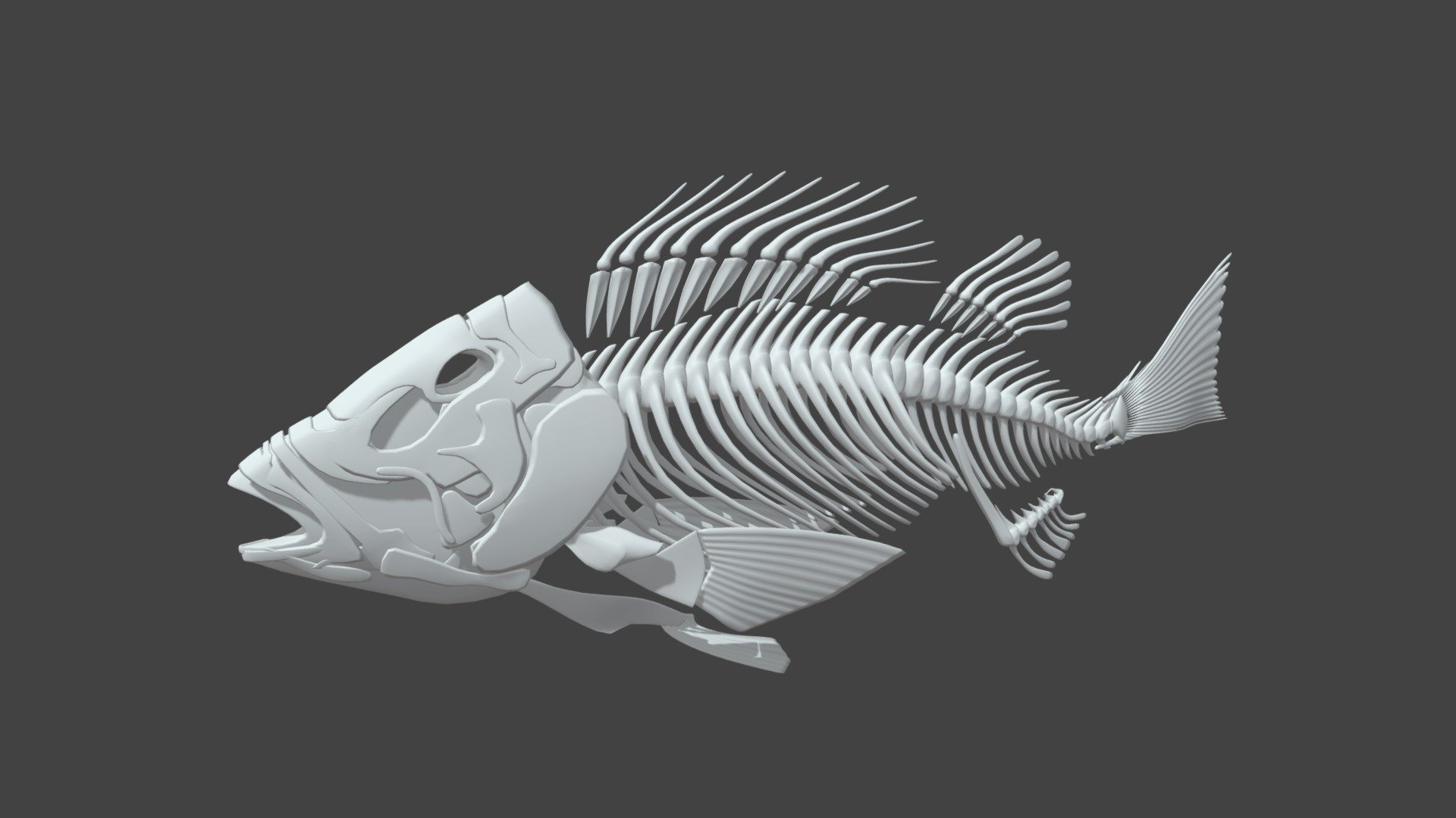 fish Bone - Buy Royalty Free 3D model by ostrich (@gohean33) [656021c]