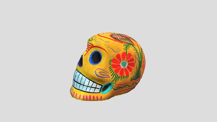 Skull 3D Model
