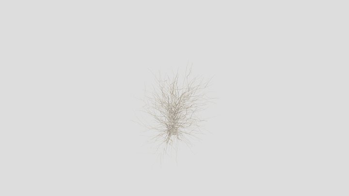 BranchTest 3D Model