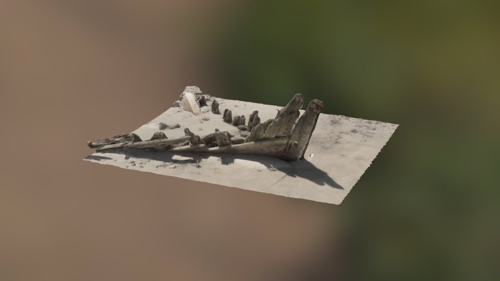 Crane Beach Bow