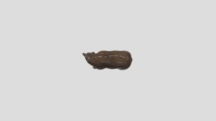 bean (FBX) 3D Model