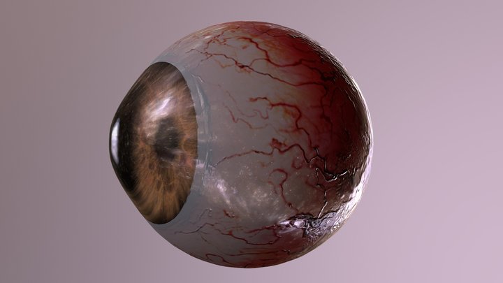 Eye MOD 3D Model