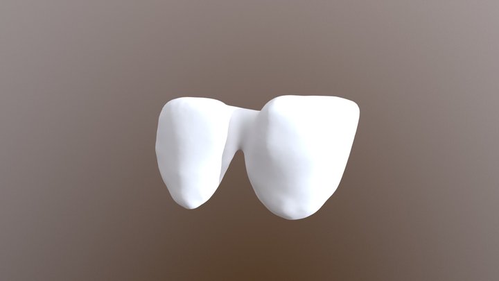 2018-03-12 00002-019-21-22-bridge Slm Cad 3D Model