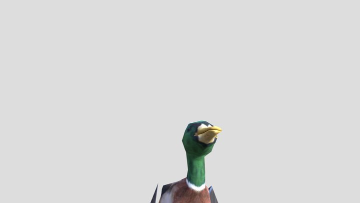 Duck animation