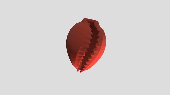 3D PRINTABLE COWRIE SHELL REPLICA 3D Model