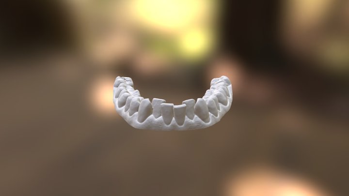 Clayton Lower Jaw 3D Model