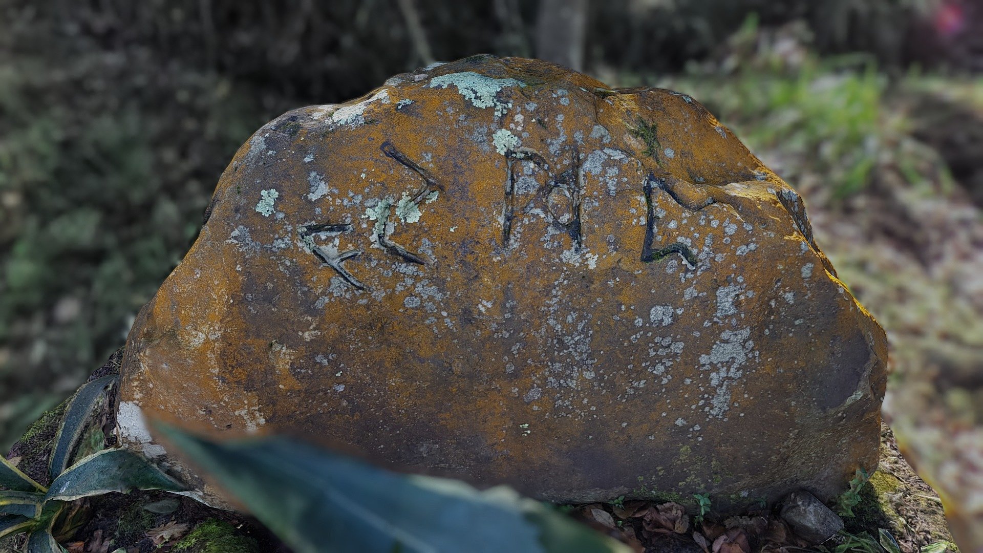 Ancient Rune stone in Asturias