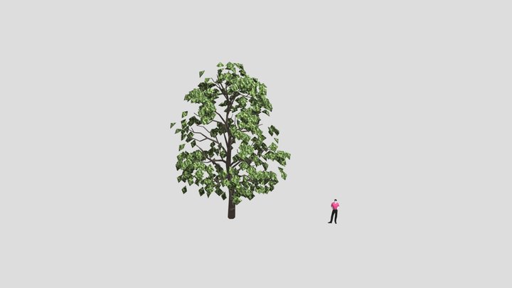 Arbol 3D Model