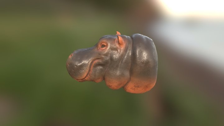 Hippo_Head_V1 3D Model