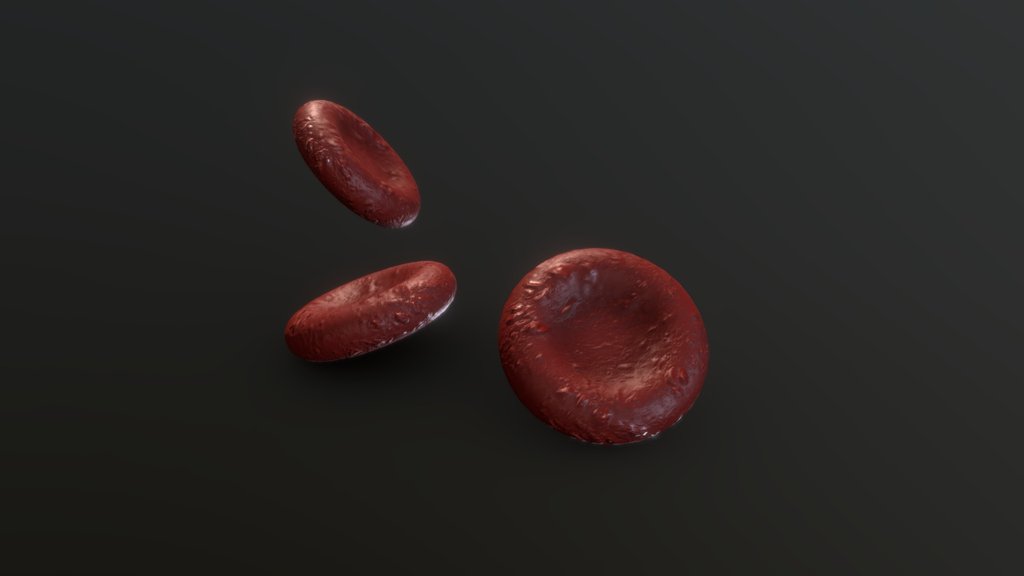 Red Blood Cells (Erythrocytes)