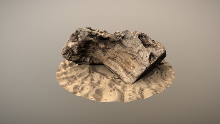 Large driftwood - Low poly - v1 3D Model