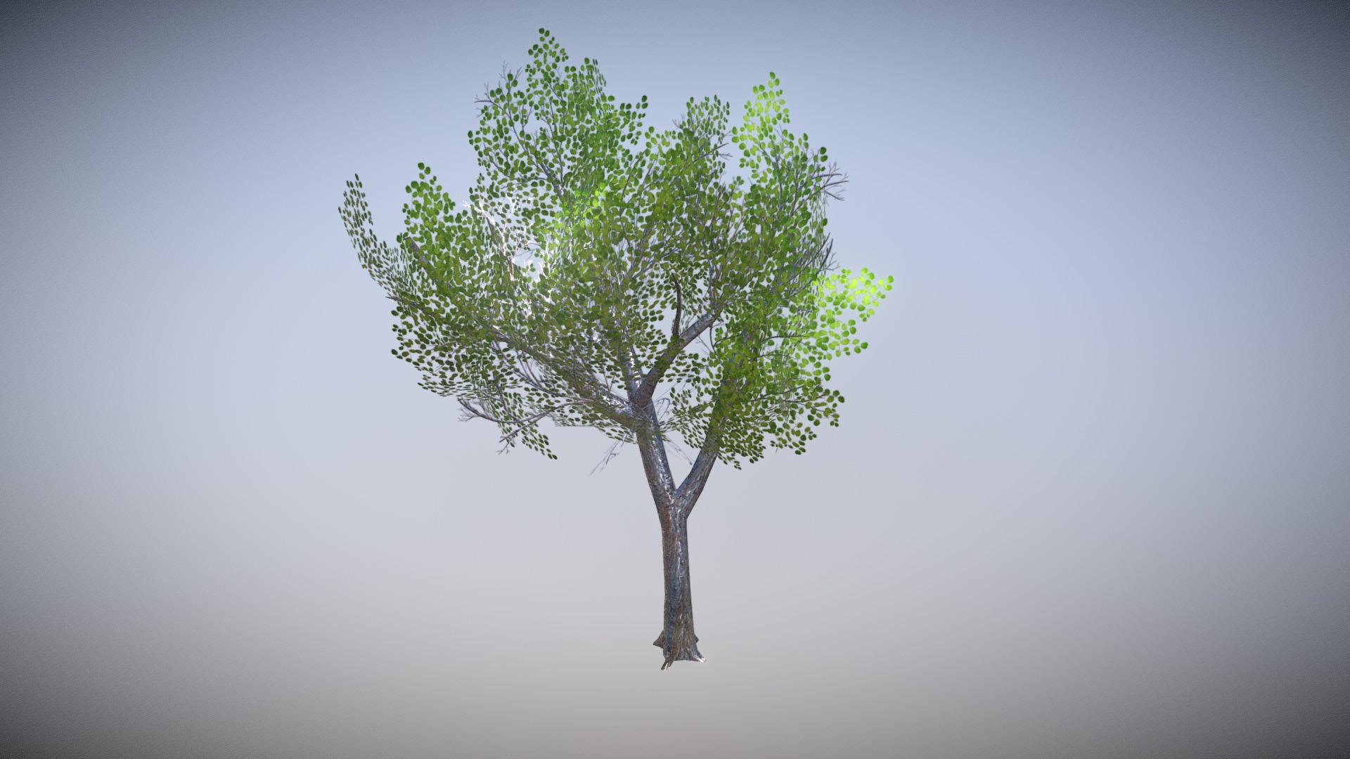 3D model Tree 03 a - This is a 3D model of the Tree 03 a. The 3D model is about a tree with green leaves.