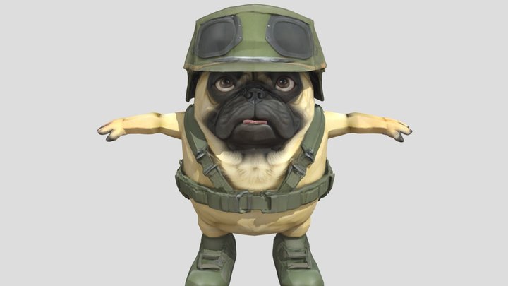 Pug 3D models - Sketchfab