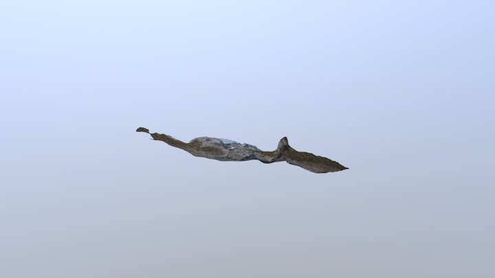 Orthomosaic of La Fossa Cone, Vulcano, Italy 3D Model