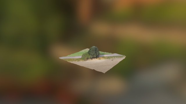 Der Busch im Feld-Versuch 2 3D Model