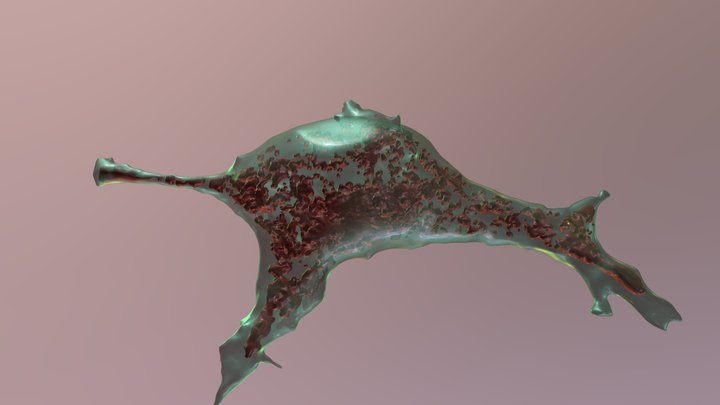 Pancreatic beta cell 3D Model