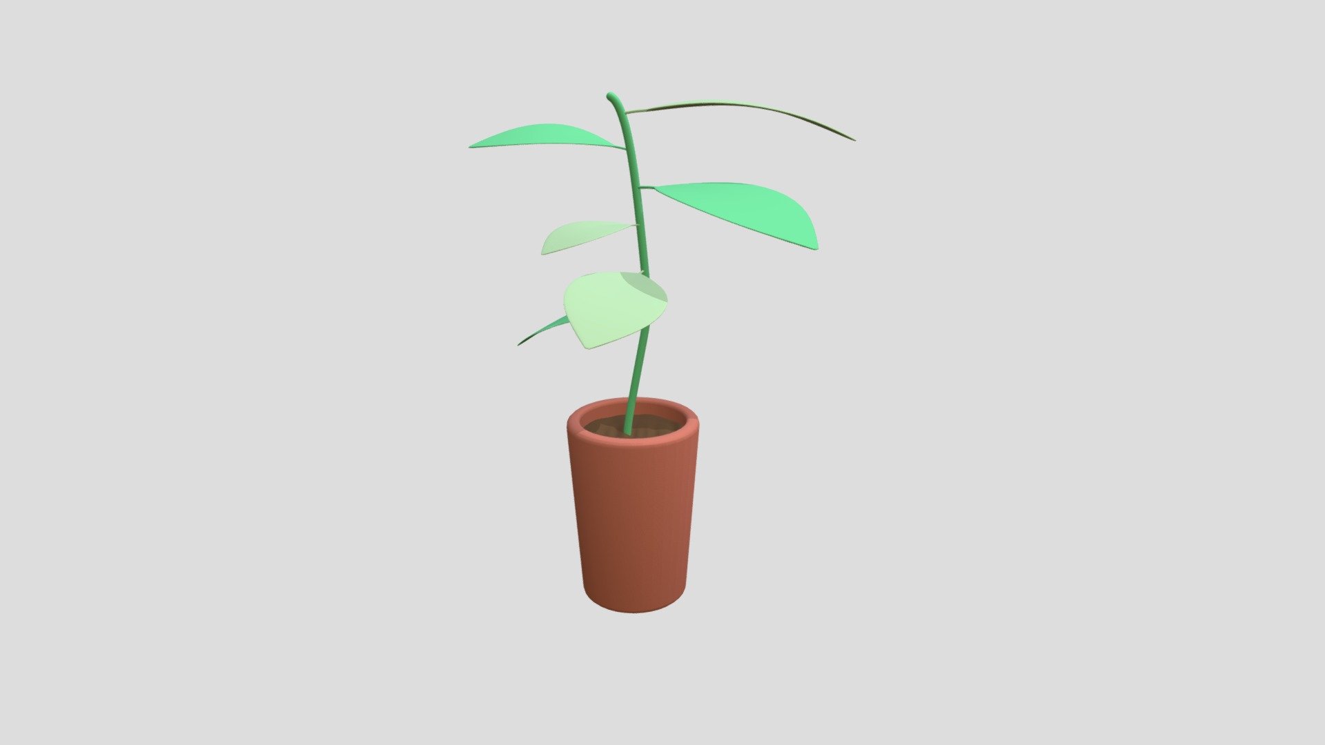 Potted Plants
