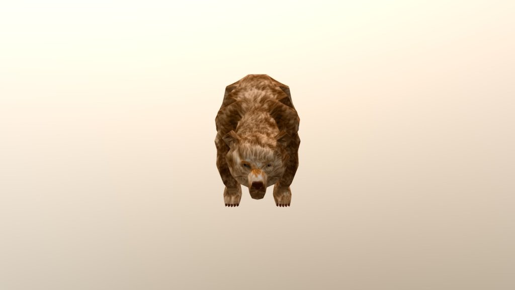 bear