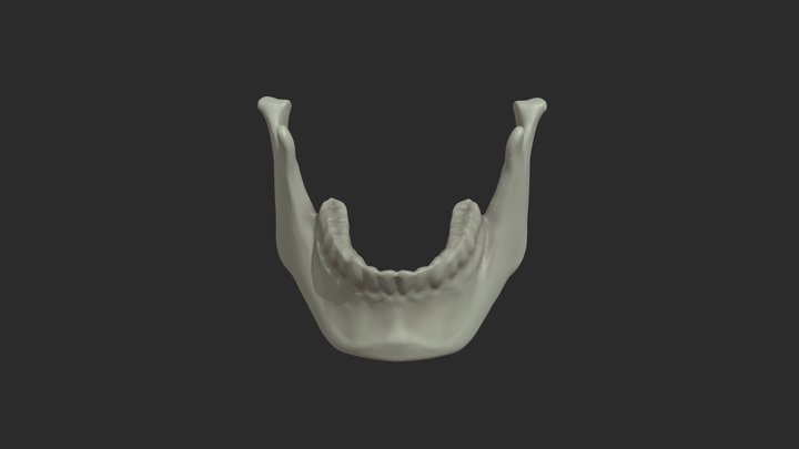 Jaw_HW6 3D Model