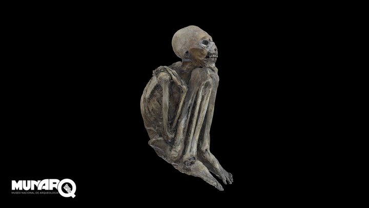 MOMIA MUNARQ COD: 3-40 3D Model