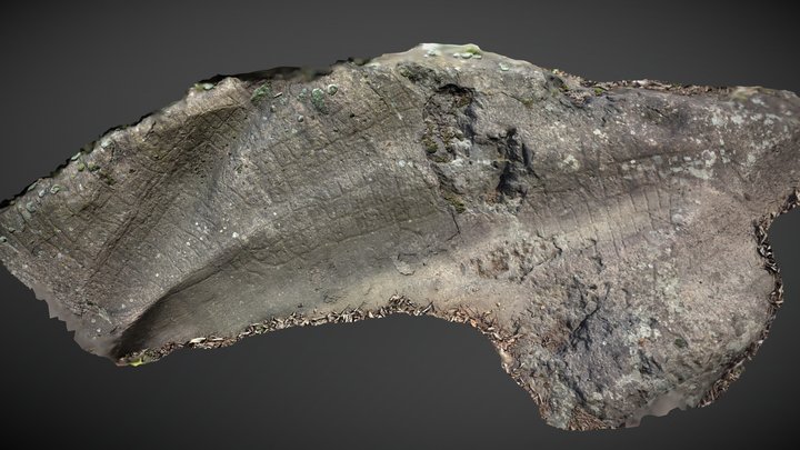 Valcamonica, Seradina 1 - Rock 57 – Free 3D Model STL
